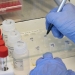 В Майами-Дейд открывается новое место для тестирования на антитела