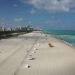 Пляжи и отели Майами-Бич откроются в понедельник